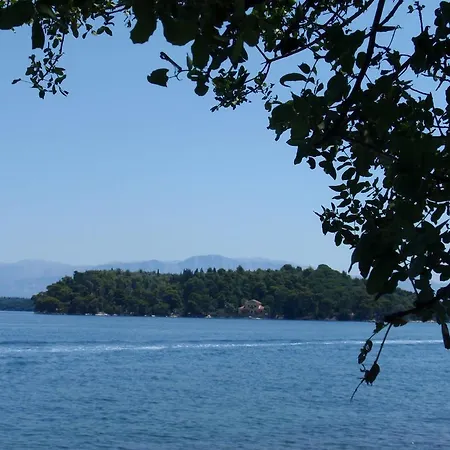 Homer's Guest house *