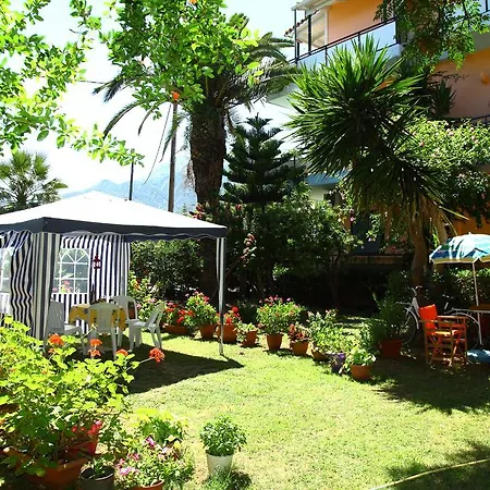 Homer's Guest house *
