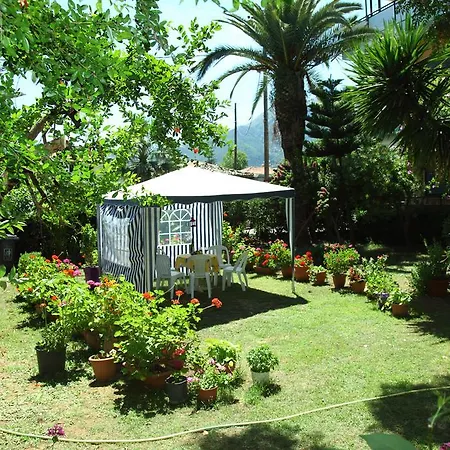 Homer's Guest house *