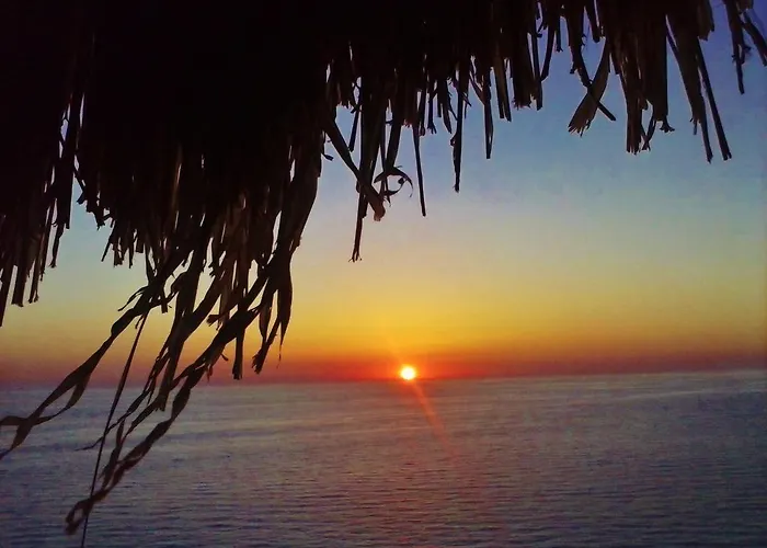 Guest house Homer 3*