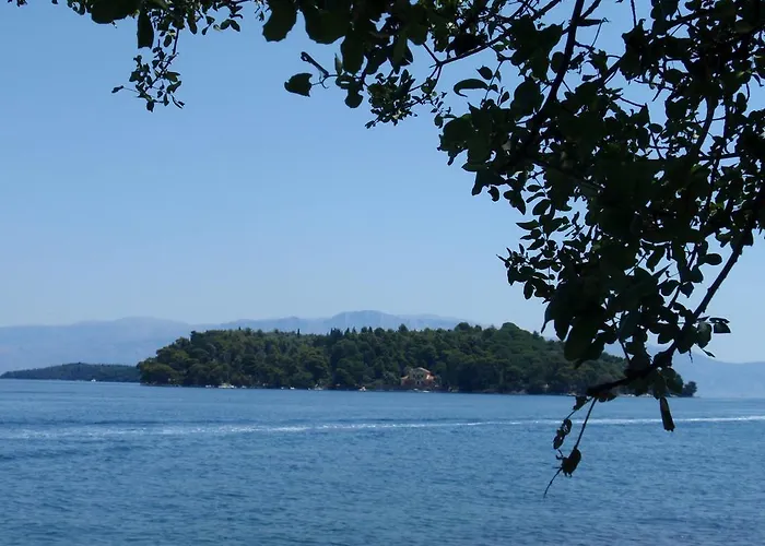 Homer Guest house 3*