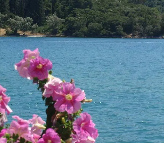 Homer Guest house 3*