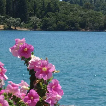 Homer Maison d'hôtes 3*