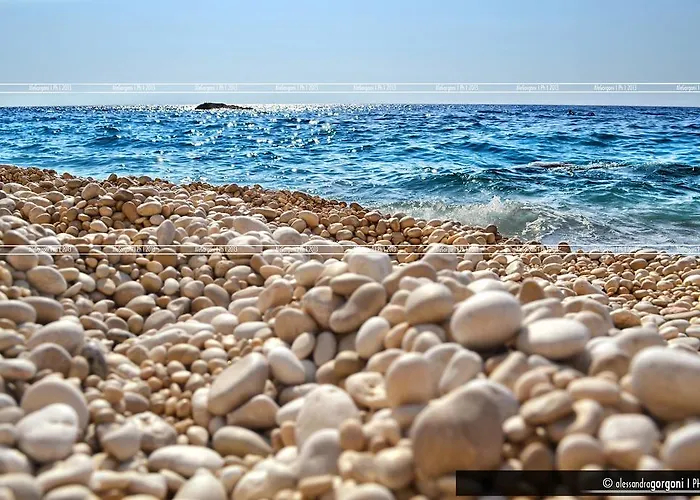 Homer Πανσιόν 3*