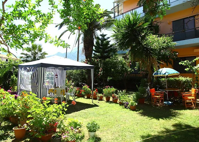 Homer Πανσιόν 3*