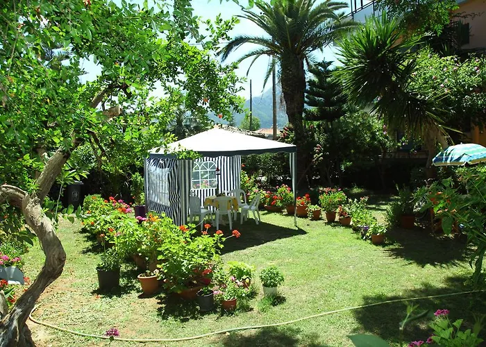 Homer Πανσιόν 3*